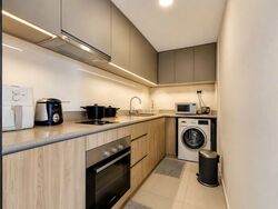 Twin Vew (D5), Apartment #562152481